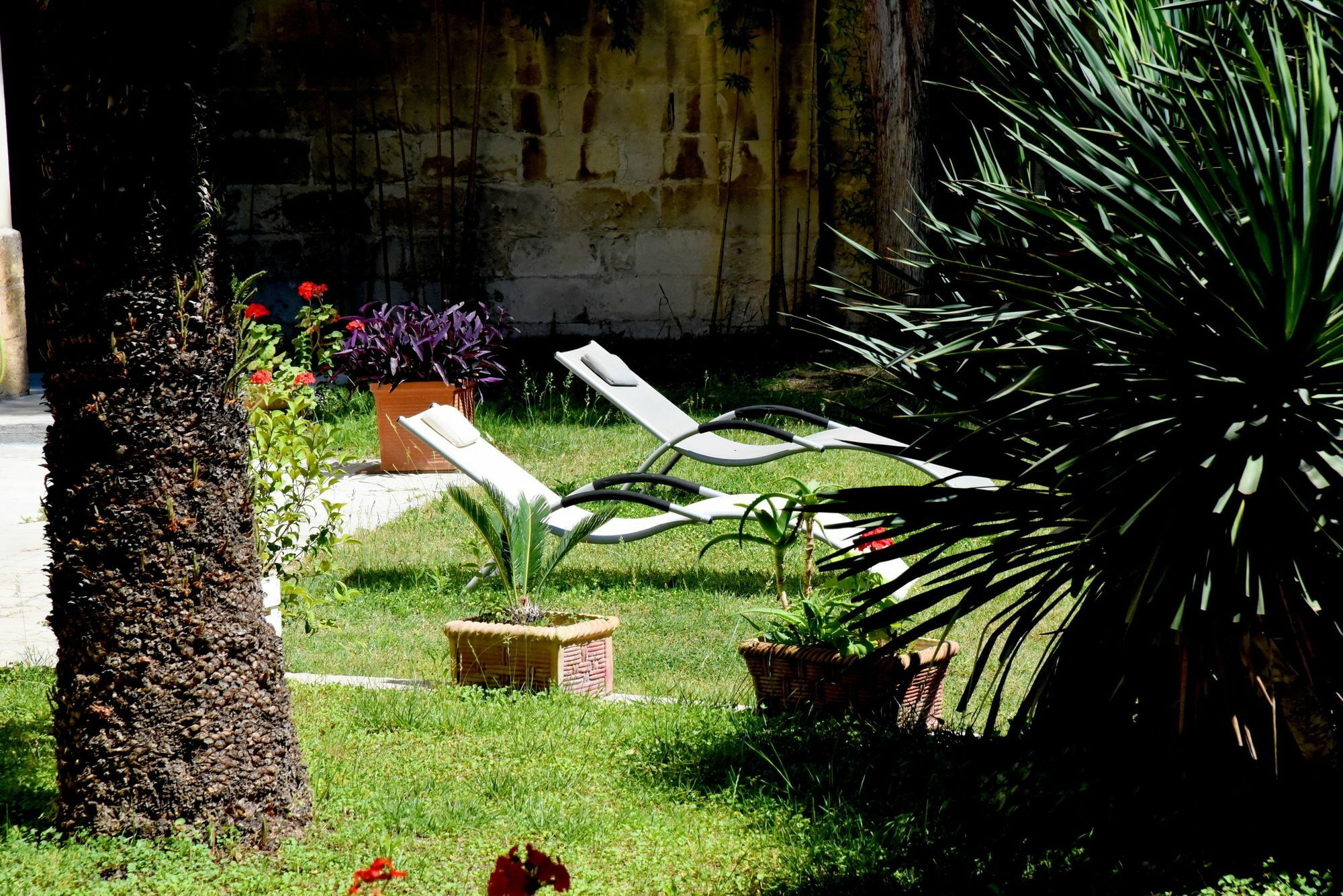 Aedes Il Giardino Dei Sogni Bed & Breakfast